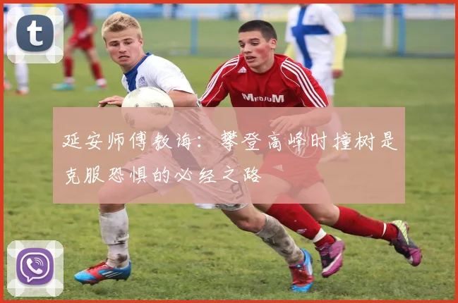 延安师傅教诲：攀登高峰时撞树是克服恐惧的必经之路